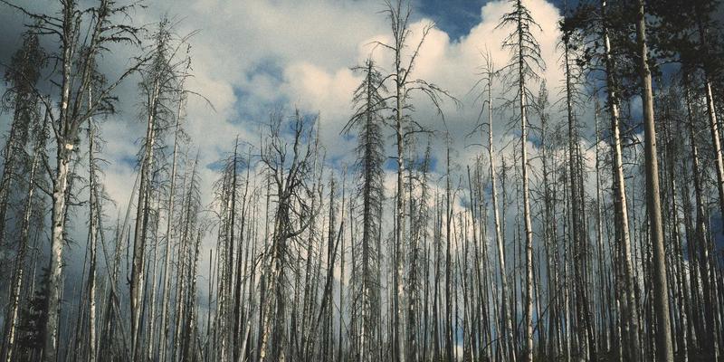 寒冬将至，爱车如何安然过冬？广州龙程车城冬季保养全攻略，二手车车主必看！