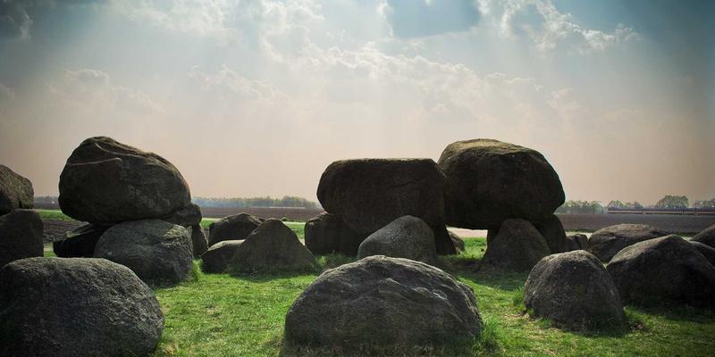 广州龙程车城 vs 广物汽贸:汽车销售与保养全方位对比,教你如何选对服务商