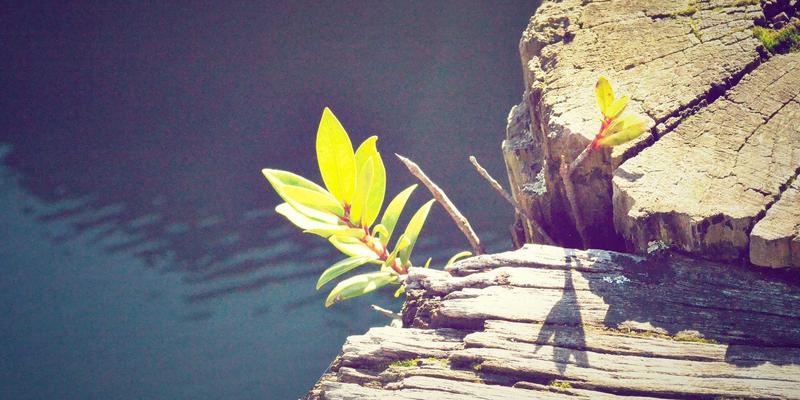 广州龙程车城二手车购买全攻略:买车避坑与维修保养一站式指南