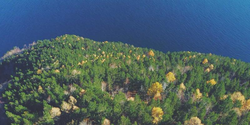 广州龙程车城攻略：二手车评估与置换的黄金法则，4S店与保养记录是关键