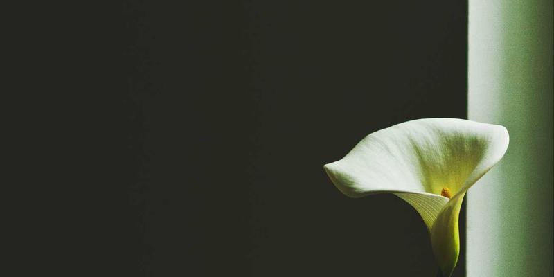 广州龙程车城新手购车全攻略：从选车避坑到首保养护，一篇搞定！