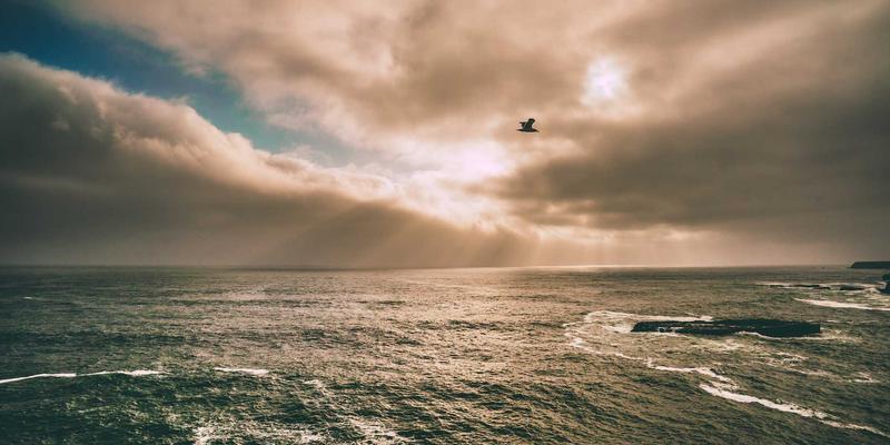 广州龙程车城深度探访：宝马、奔驰、奥迪专修店如何选？买车与维修避坑指南