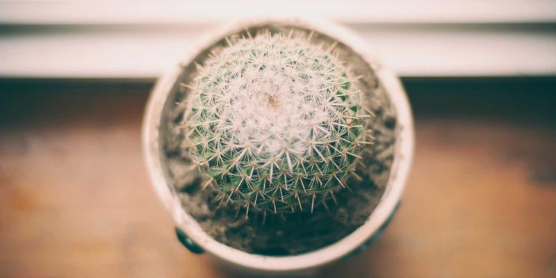 广州龙程车城车主必读：隐形车衣、镀晶与漆面修复，高端汽车美容三选一终极指南