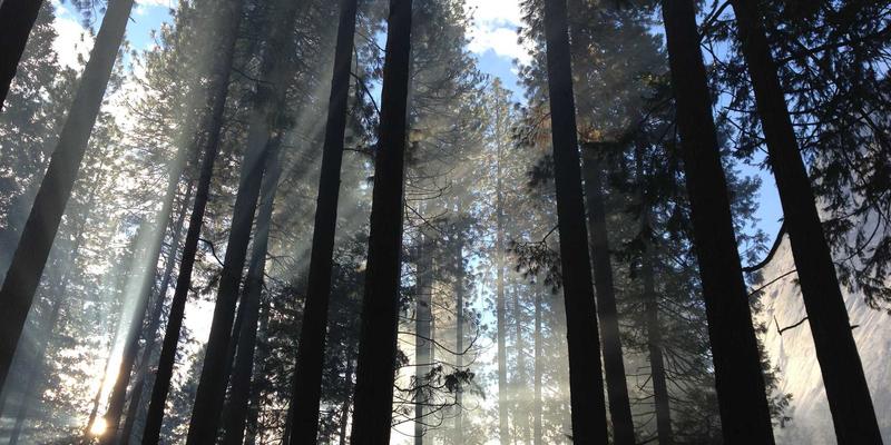 广州龙程车城钣金喷漆深度评测：4S店工艺与价格，究竟如何选择才不花冤枉钱？